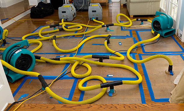 Professional Storm Water Damage Restoration technician working in Oakhurst, TX